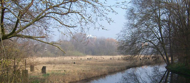 ochtendsfeer begraafplaats naast Flevopark
